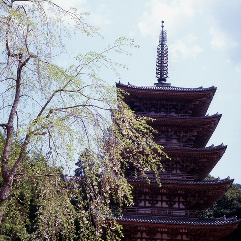 1204-66 Scan 京都醍醐寺789.jpg