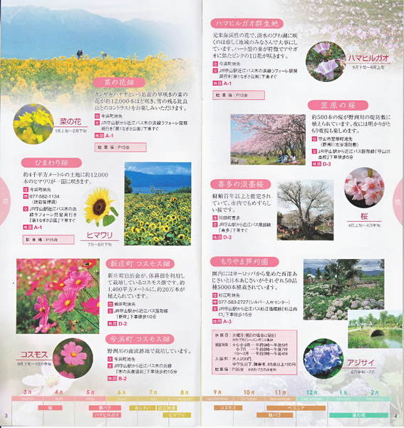 守山の花.jpg